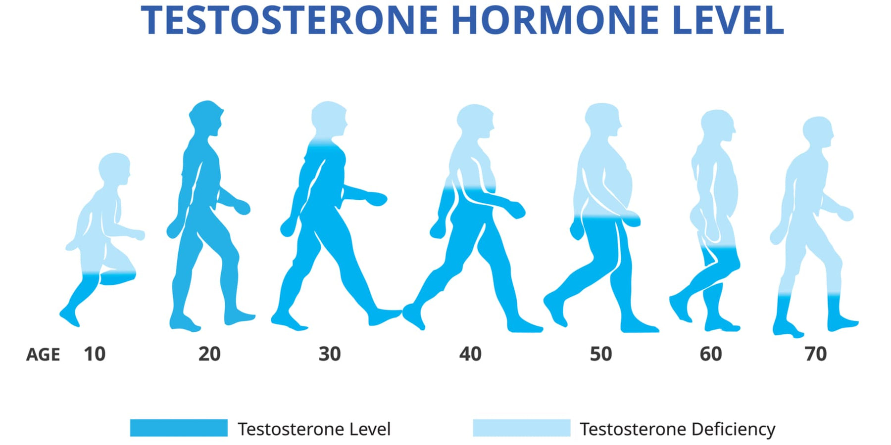 Maneras naturales para estimular la testosterona