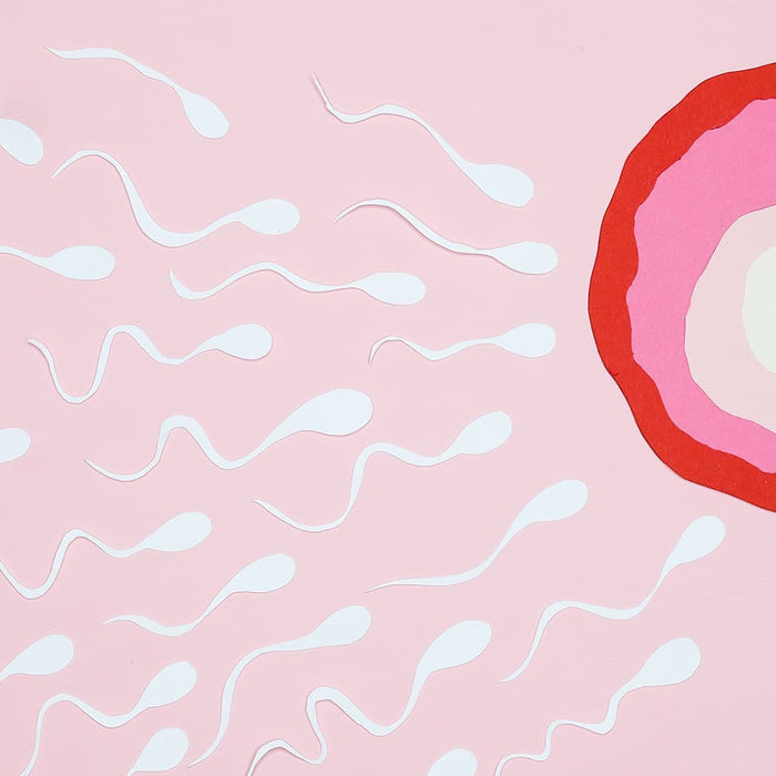 ¿Tragar O Expulsar Todo Lo Que Necesitas Saber Sobre El Semen