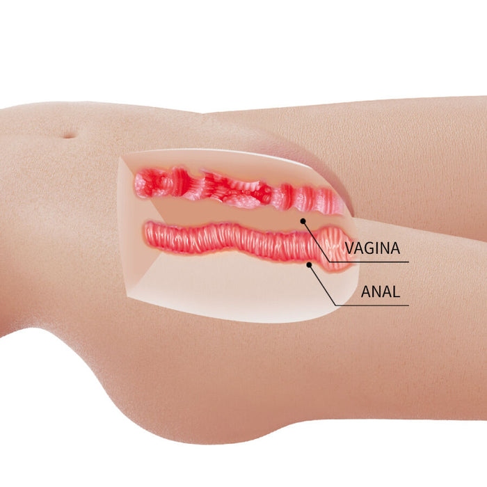 Crazy Bull Mia Torso Femenino Realista Vagina Y Ano