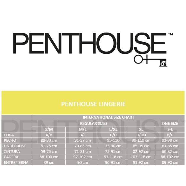 Penthouse Guilty Icon Vestido Con Liguero Y Tanga